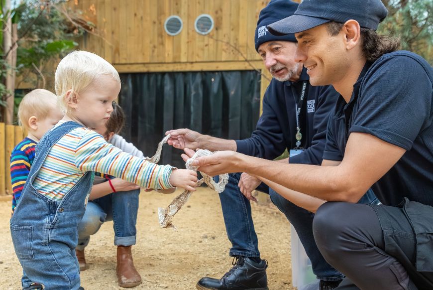 Engagement and learning team members interact with young visitors in the Tropical House at Bristol Zoo Project